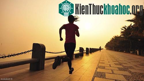 Con người chỉ cần ngủ 4 tiếng mỗi ngày do đột biến gene
