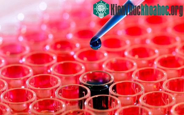 Phương pháp xét nghiệm máu giúp phát hiện ung thư sớm 5 năm