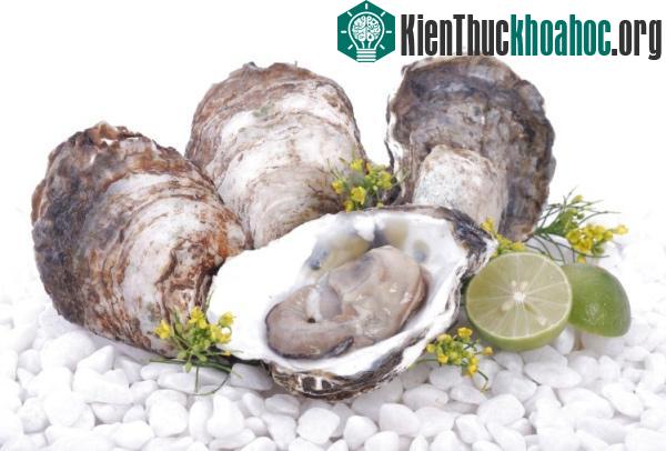 7 món hải sản phổ biến nhưng cực kì nguy hiểm