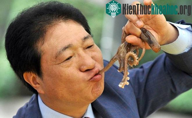 Những món đặc sản có thể gây chết người