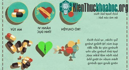Đường tác động đến não bộ như thế nào?
