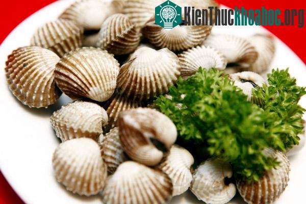 7 món hải sản phổ biến nhưng cực kì nguy hiểm