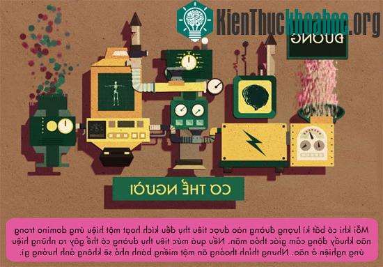 Mỗi khi có bất kì lượng đường nào được tiêu thụ đều kích hoạt một hiệu ứng domino trong não, khuấy động cảm giác thỏa mãn.