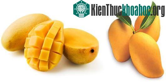 Ảnh:&nbsp;pakfruit.blogspot.com