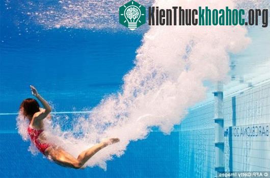 Sự thật về việc đi tiểu ra hồ bơi phần nào sẽ cải thiện được ý thức của mỗi người khi đến bể bơi.