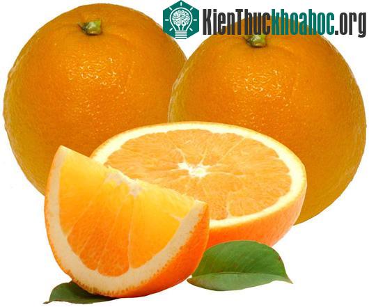 Ảnh: sequoiaorange.com