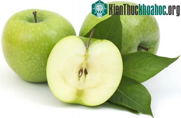 Táo xanh có nhiều lợi ích cho sức khỏe. (Ảnh:&nbsp;photo.elsoar.com)