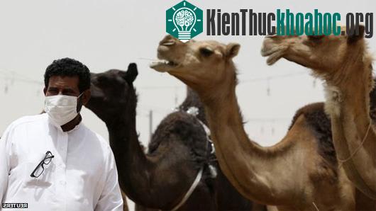 Ảnh: Businessinsider