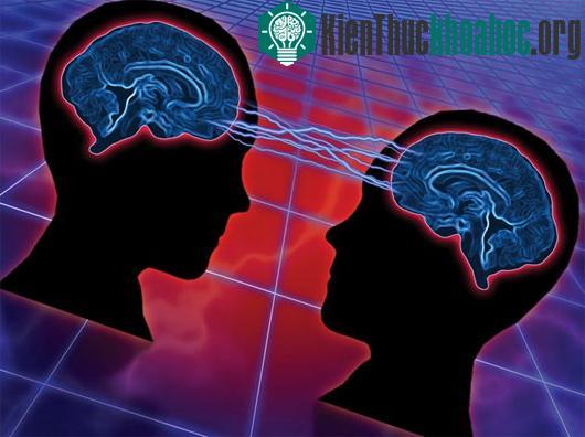 Ảnh: illumine.co.uk