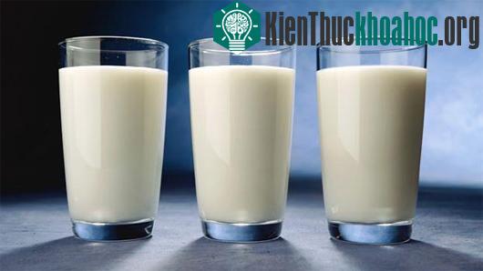 Sữa tươi tốt cho tim mạch hơn. (Ảnh:&nbsp;agrivice.com.au)