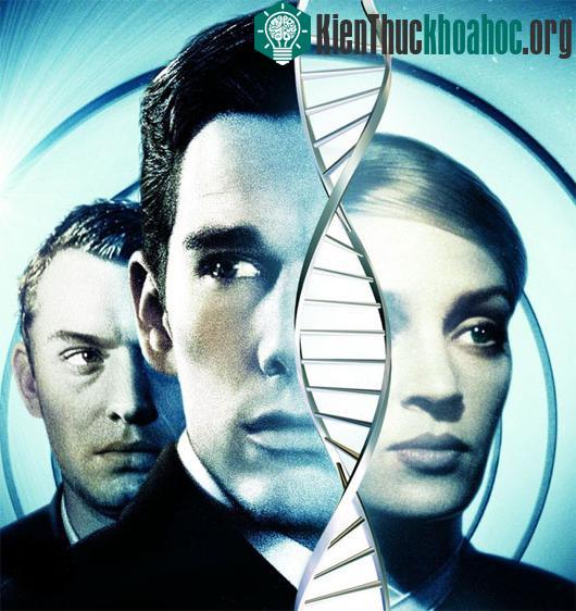 Giới chuyên gia cảnh báo về “viễn cảnh Gattaca” khi con người bị phân loại theo gene&nbsp;di truyền - (Ảnh: Jersey Films)