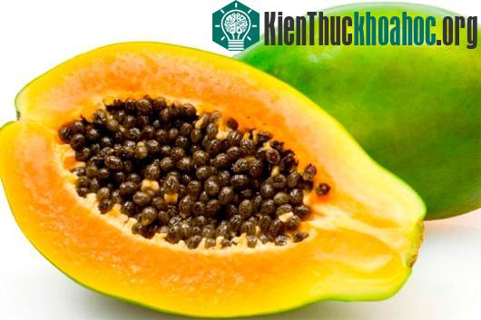 Ảnh: natureisletropicalgourmet.com