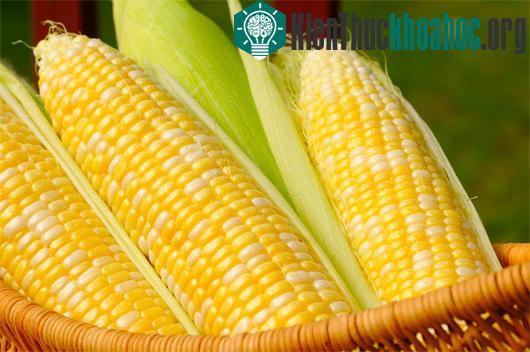 Ảnh:&nbsp;motherearthnews.com