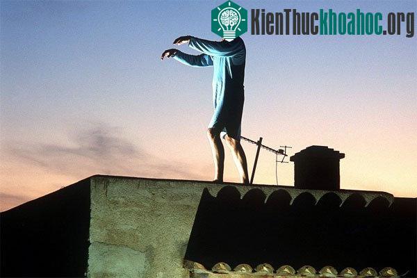 Mộng du là hiện tượng khá nguy hiểm do con người di chuyển hoặc thậm chí lái xe trong vô thức. (Ảnh: welt.de.com)