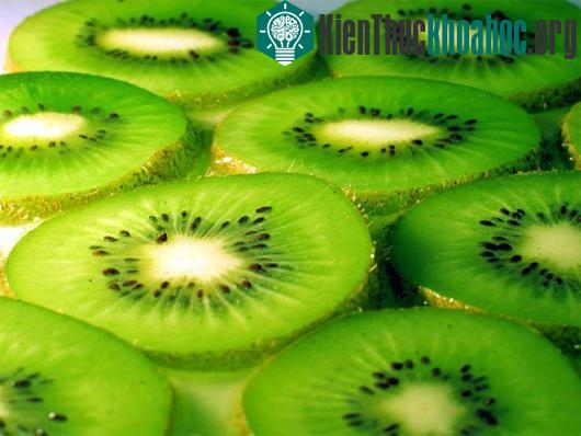 Ảnh:&nbsp;giamcan24h.edu.vn