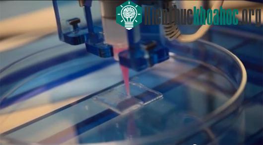 Tái tạo các bộ phận trên cơ thể bằng công nghệ in 3D