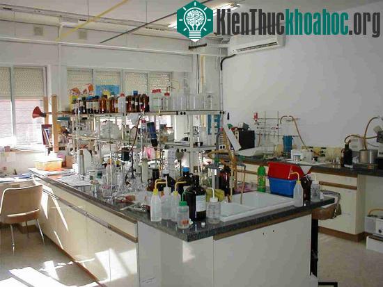 Thành công của các nhà khoa học Anh sẽ mở ra tương&nbsp;lai rất triển vọng cho ngành phẫu thuật thẩm mĩ.&nbsp;