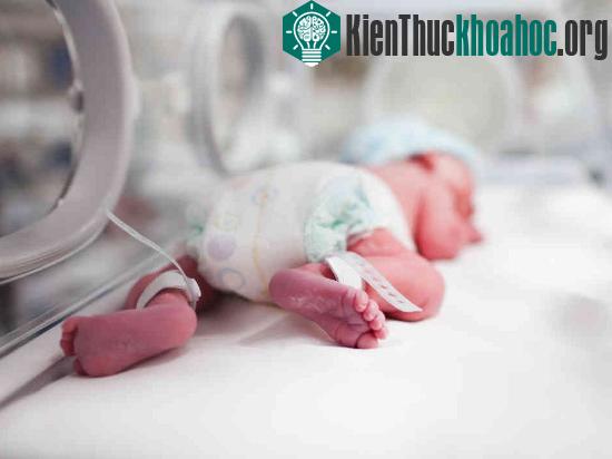 Trẻ sinh non được nuôi dưỡng trong lồng ấp