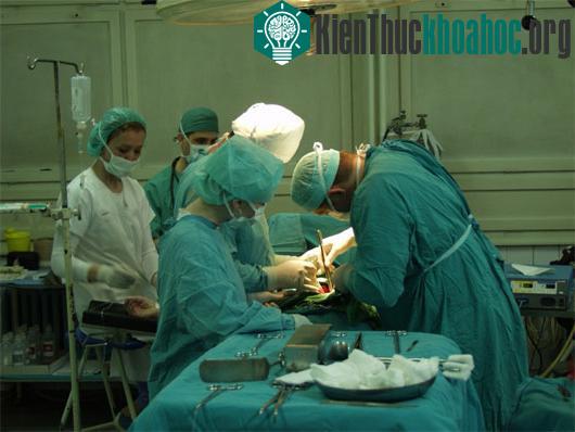 Ảnh:&nbsp;plastic.medicalxtourism.com
