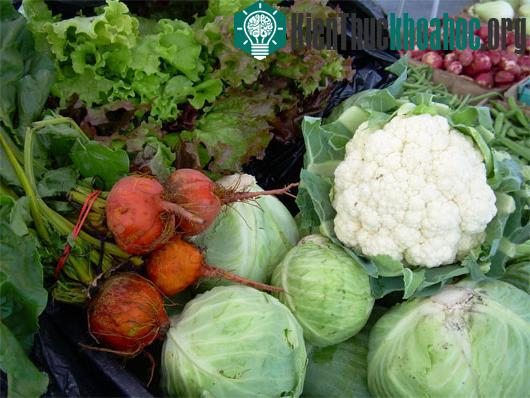 Hợp chất DIM chiết xuất từ bắp cải và súp lơ đã được nghiên cứu như một tác nhân phòng ngừa ung thư trong nhiều năm qua. (Ảnh minh họa:&nbsp;