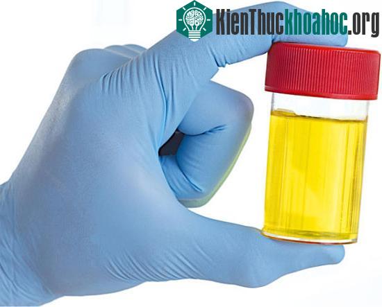 Ảnh:&nbsp;sciencedaily.com