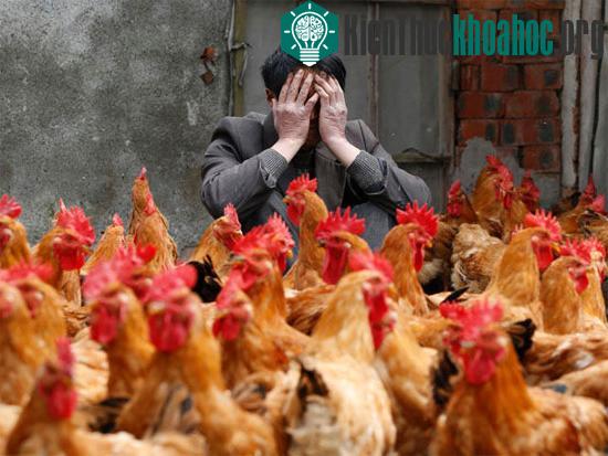 Phát hiện trường hợp đầu tiên bị nhiễm virus cúm gia cầm H7N9 từ người khác ở Trung Quốc. (Ảnh:&nbsp;intelligencer.ca)