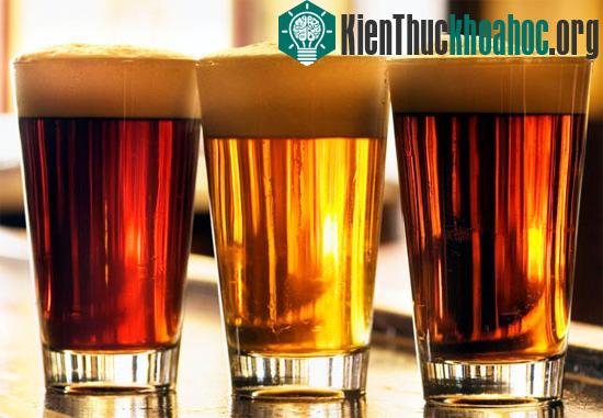 Ảnh minh họa: beergeekblog