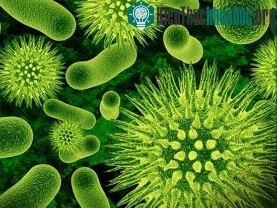 Siêu vi khuẩn bệnh lậu kháng thuốc kháng sinh không thể so sánh với căn bệnh thế kỷ AIDS.