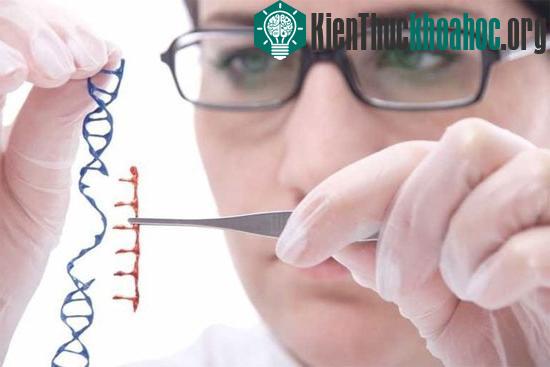 Các chuyên gia của BGI gần như hoàn tất việc giải trình tự gene của 2.000 cá&nbsp;