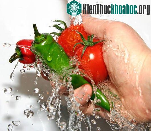 Ảnh:&nbsp;thevegworld.com