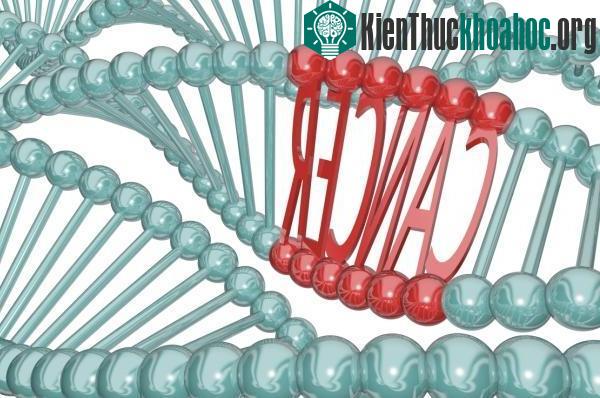 Gene Abraxa phá hủy tế bào và gây bệnh ung thư vú. (Ảnh: Livescience)