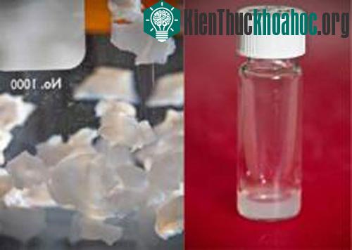 Chất Hydrogel mới có thể chữa lành tổn thương do đau tim gây ra - (Ảnh: Top News)