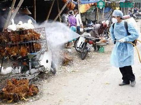 Phun thuốc khử trùng tiêu độc một khu vực buôn bán gia cầm. (Ảnh: TTXVN)