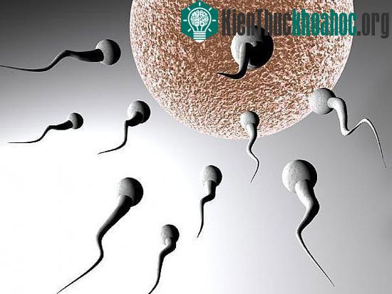Trung Quốc: Đàn ông càng lớn tuổi càng khó có con ảnh 0