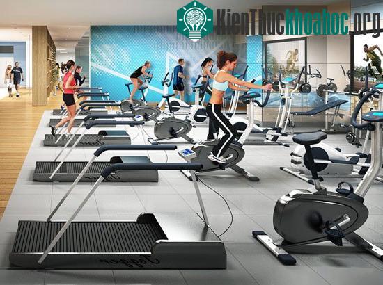 Xu hướng mua máy tập thể dục tại nhà
