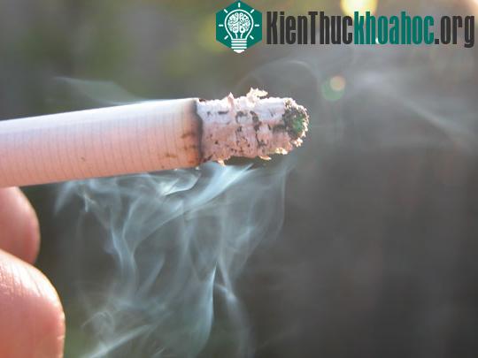 Thuốc lá làm giảm trí thông minh ảnh 0