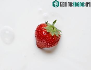Mỗi loại quả một tác dụng giải độc ảnh 0