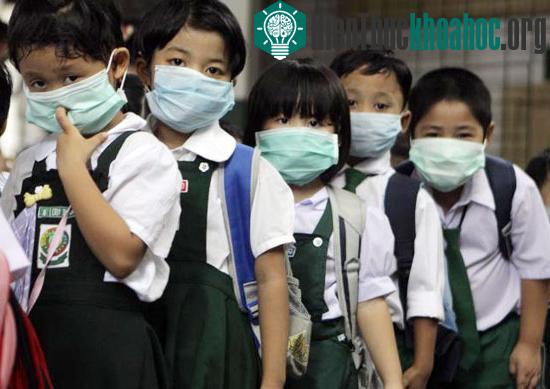 Virus H5N1 biến đổi có thể lây từ lợn sang người ảnh 0