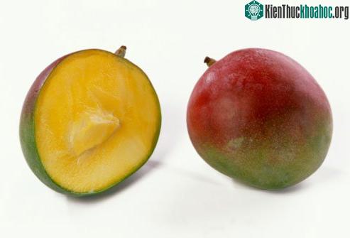 Những trái cây bổ dưỡng của vùng nhiệt đới ảnh 3