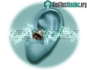 Những liệu pháp mới điều trị bệnh ù tai ảnh 0