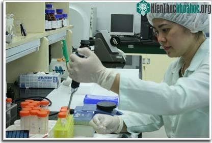 Năm 2009 sẽ có vắc-xin H5N1 "made in Việt Nam" ảnh 1