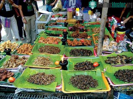 Nguồn thực phẩm từ côn trùng ảnh 1