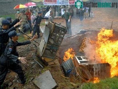 Thiêu hủy gia cầm bệnh tại Jakarta