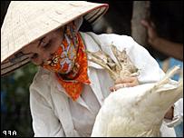 Thiết bị phát hiện virus cúm gia cầm H5N1 ảnh 0