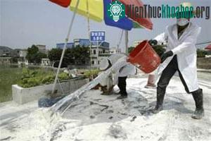 Trung Quốc đẩy mạnh phòng chống dịch cúm gia cầm ảnh 0