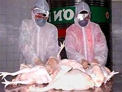 Thêm một bệnh nhân nghi nhiễm cúm A/H5N1 ảnh 0