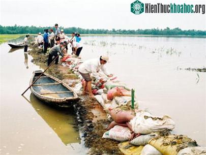 Quảng Trị: mưa lớn gây thiệt hại nặng ảnh 0