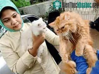FAO kêu gọi viện trợ khẩn chống cúm gia cầm ảnh 0