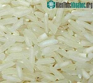 Gạo ăn không nên xát kỹ dễ mất vitamin B1.