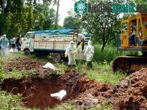 Công tác chôn hủy gia cầm tại Nakhon Phanom - Thái Lan